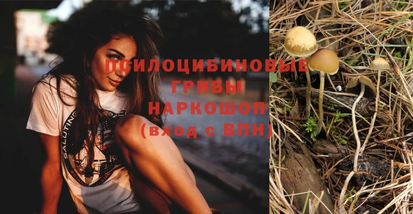 кокаин колумбия Белокуриха